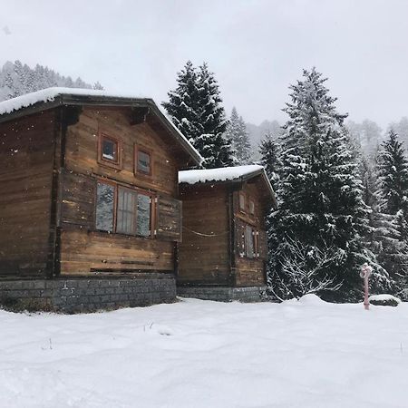 Kardelen Bungalov Evleri̇ Ayder Yaylasi Exterior foto