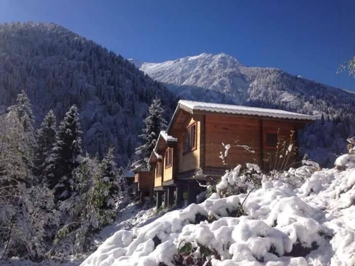 Kardelen Bungalov Evleri̇ Ayder Yaylasi Exterior foto