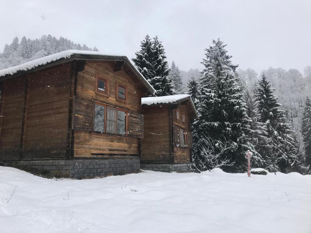 Kardelen Bungalov Evleri̇ Ayder Yaylasi Exterior foto