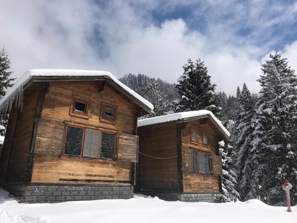 Kardelen Bungalov Evleri̇ Ayder Yaylasi Exterior foto