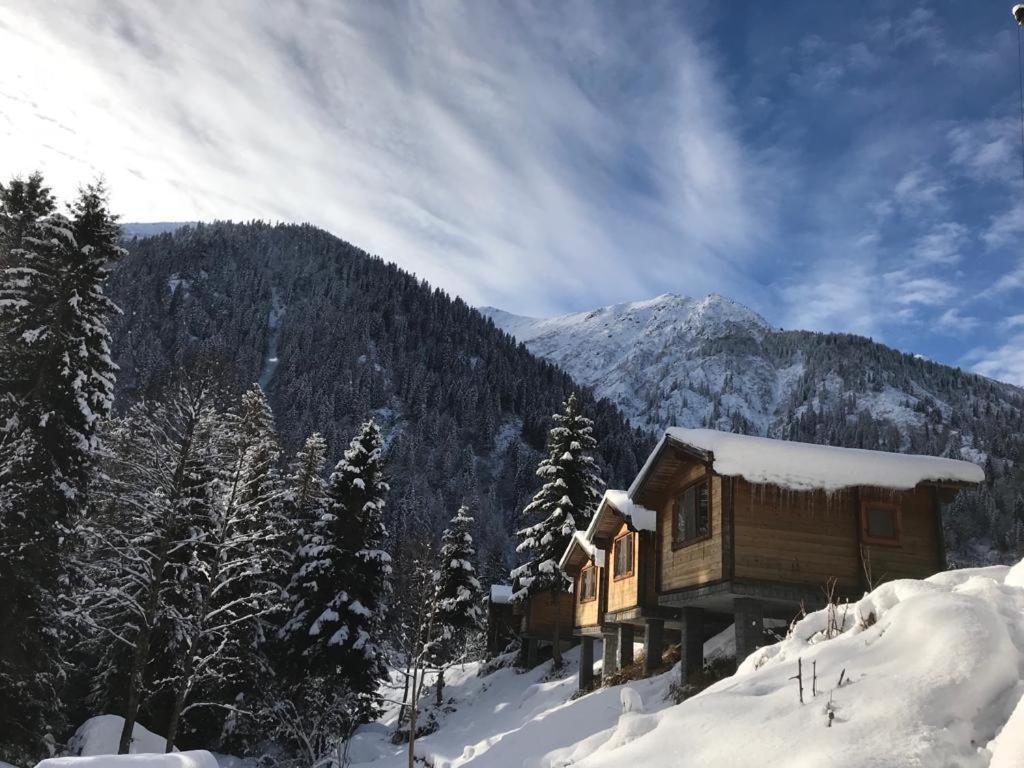 Kardelen Bungalov Evleri̇ Ayder Yaylasi Exterior foto
