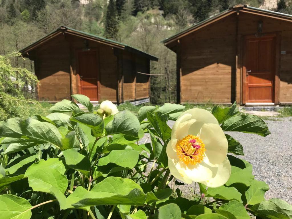 Kardelen Bungalov Evleri̇ Ayder Yaylasi Exterior foto