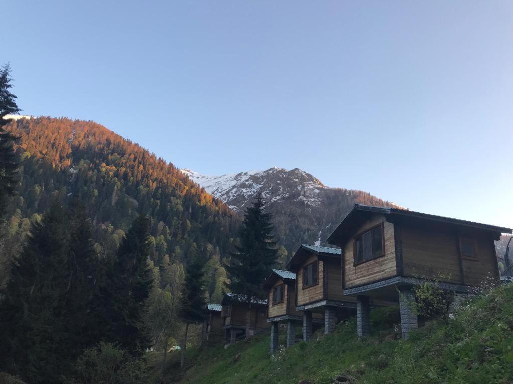 Kardelen Bungalov Evleri̇ Ayder Yaylasi Exterior foto