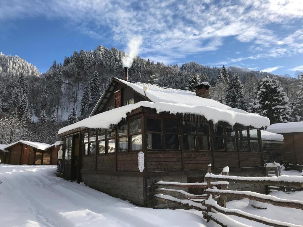 Villa Kardelen Bungalov Evleri̇ Ayder Yaylasi Exterior foto