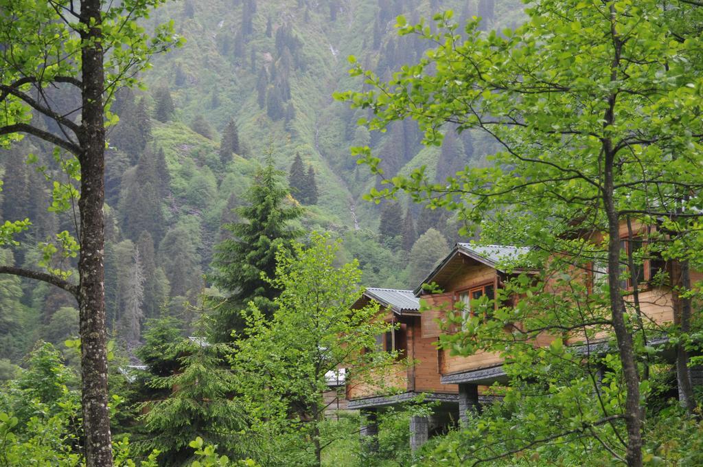 Kardelen Bungalov Evleri̇ Ayder Yaylasi Zimmer foto